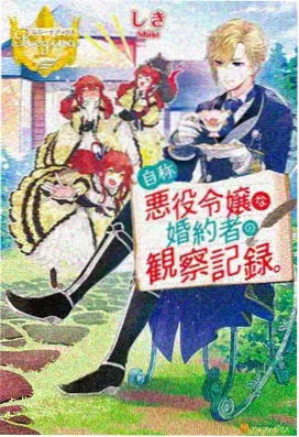 铁翼少年动画海报